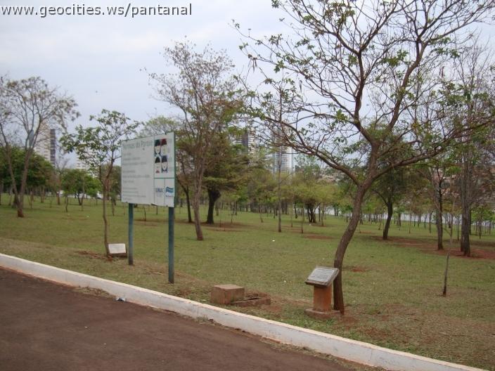 163_geocities_ws_pantanal.jpg
