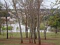 032_geocities_ws_pantanal