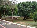 110_geocities_ws_pantanal