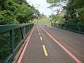 118_geocities_ws_pantanal
