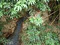 119_geocities_ws_pantanal