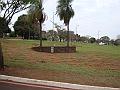 120_geocities_ws_pantanal