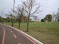 131_geocities_ws_pantanal