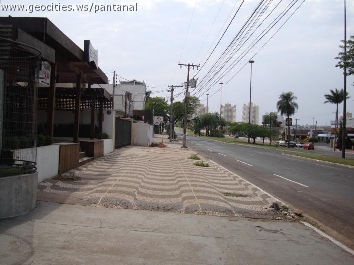 166_geocities_ws_pantanal.jpg