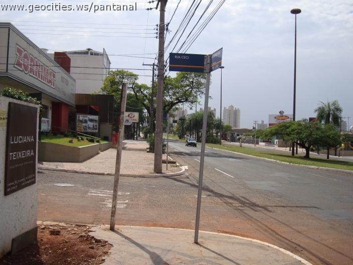 170_geocities_ws_pantanal.jpg