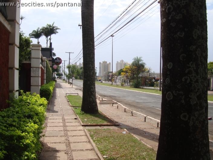175_geocities_ws_pantanal.jpg