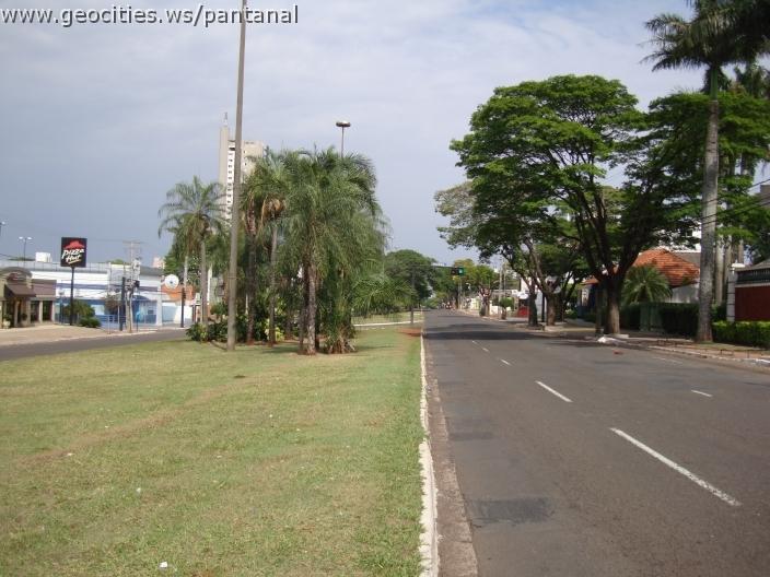 182_geocities_ws_pantanal.jpg