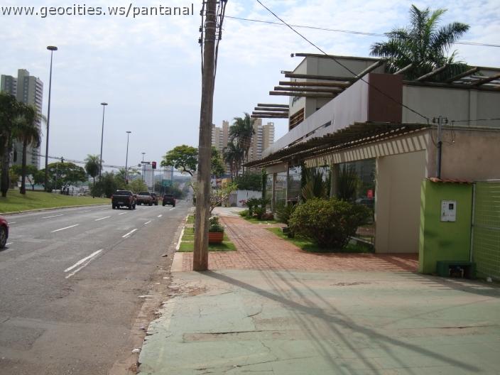 205_geocities_ws_pantanal.jpg