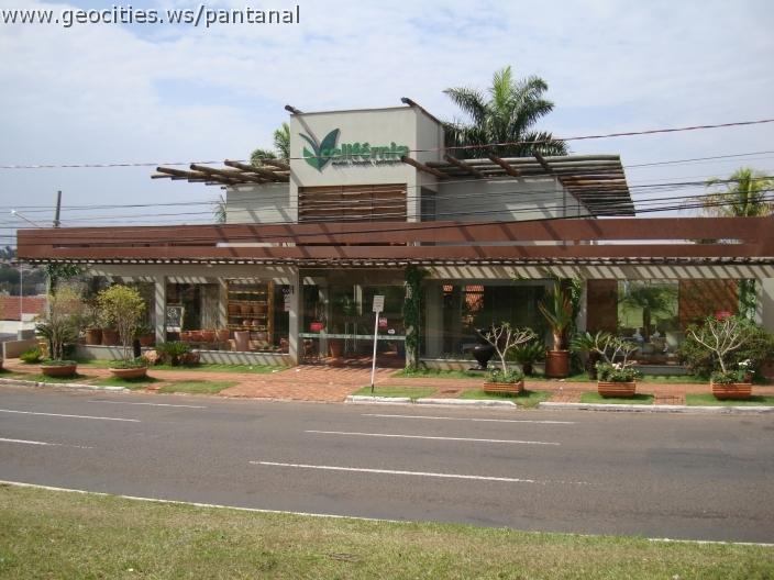 207_geocities_ws_pantanal.jpg