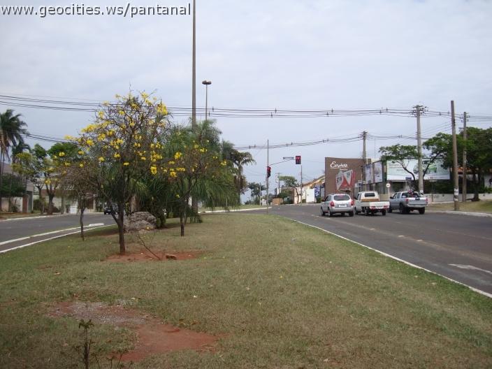 223_geocities_ws_pantanal.jpg