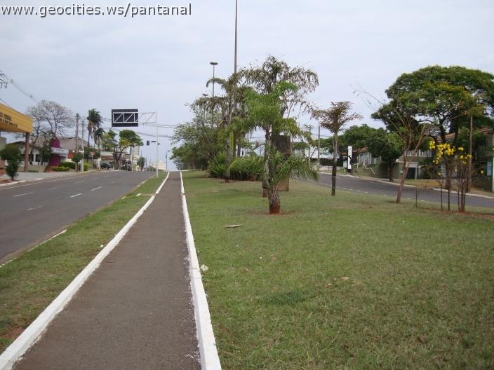 230_geocities_ws_pantanal.jpg