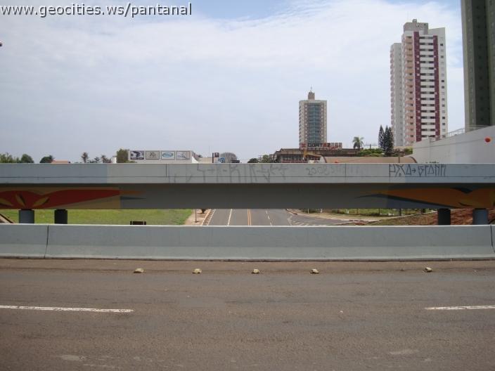 246_geocities_ws_pantanal.jpg