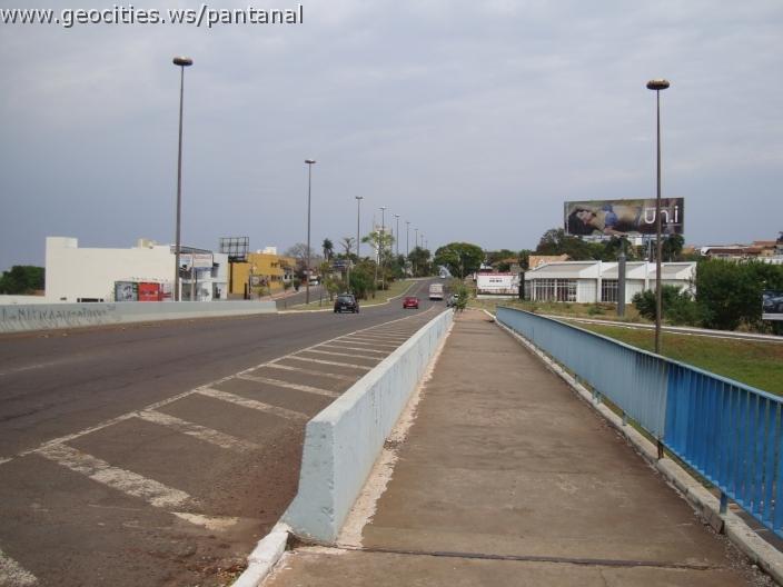 253_geocities_ws_pantanal.jpg
