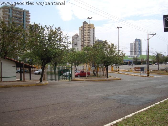 270_geocities_ws_pantanal.jpg