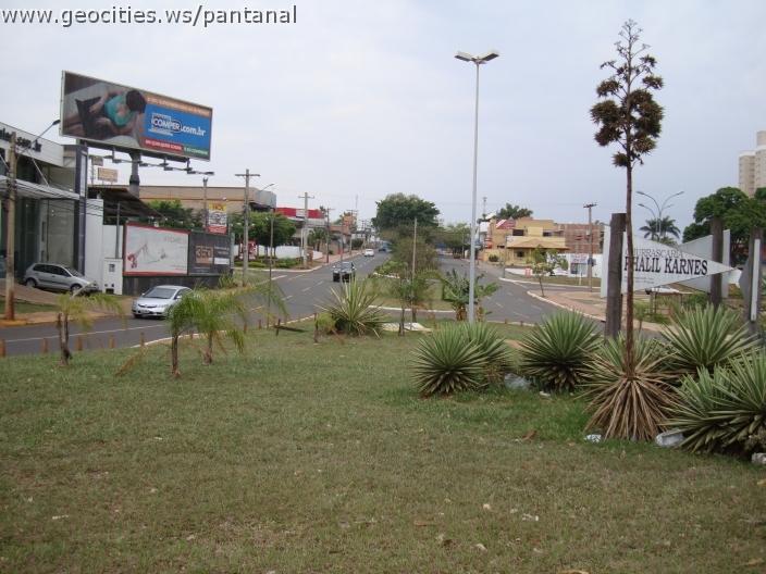 329_geocities_ws_pantanal.jpg