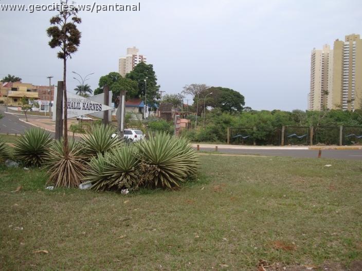 330_geocities_ws_pantanal.jpg