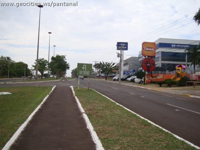 380_geocities_ws_pantanal.jpg
