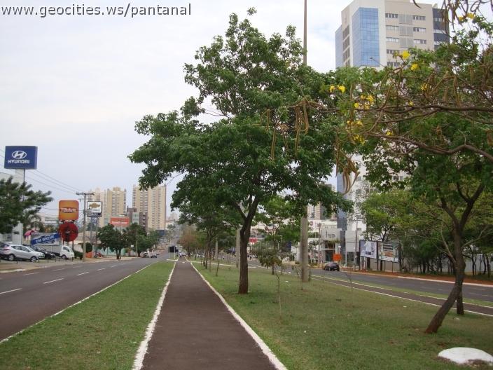 384_geocities_ws_pantanal.jpg