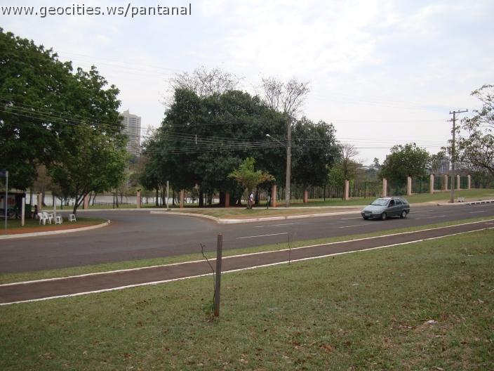 387_geocities_ws_pantanal.jpg
