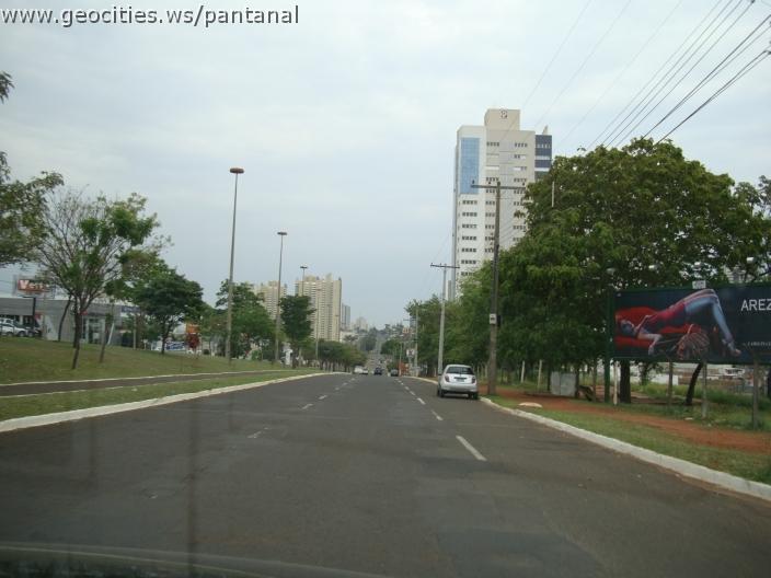 394_geocities_ws_pantanal.jpg