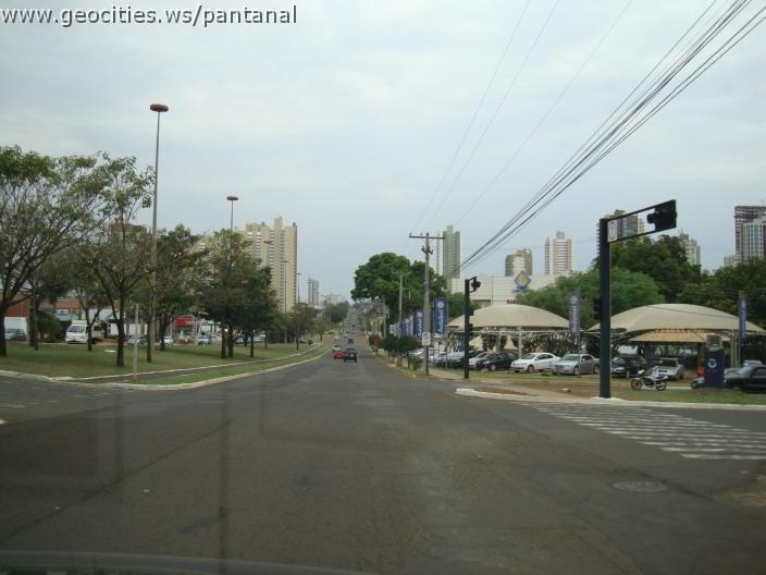 395_geocities_ws_pantanal.jpg
