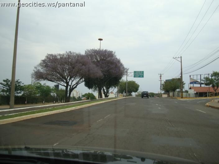 402_geocities_ws_pantanal.jpg