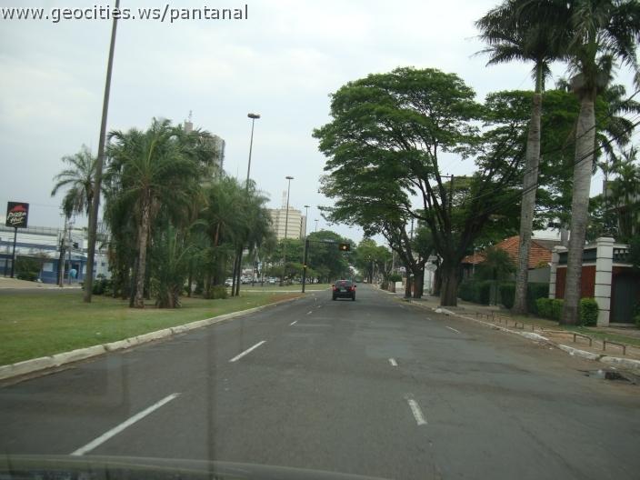 408_geocities_ws_pantanal.jpg