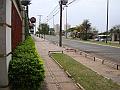 176_geocities_ws_pantanal