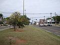 223_geocities_ws_pantanal