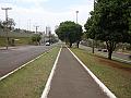 285_geocities_ws_pantanal