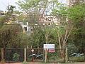 300_geocities_ws_pantanal