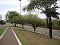 301_geocities_ws_pantanal