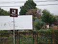 313_geocities_ws_pantanal
