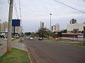 351_geocities_ws_pantanal