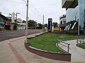 352_geocities_ws_pantanal
