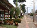 367_geocities_ws_pantanal