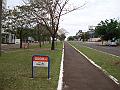 377_geocities_ws_pantanal