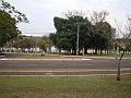 389_geocities_ws_pantanal