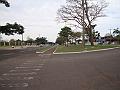 391_geocities_ws_pantanal