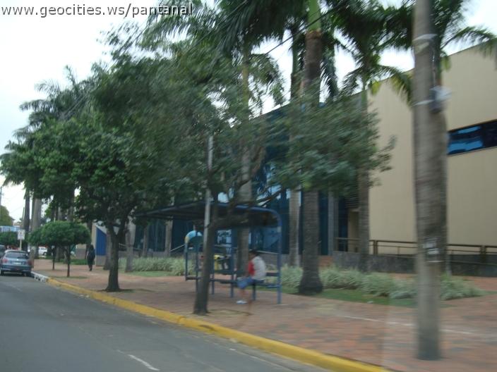 424_geocities_ws_pantanal.jpg