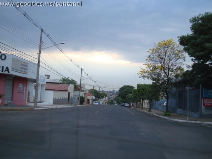 433_geocities_ws_pantanal.jpg