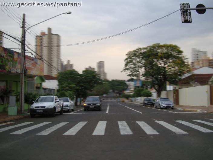 447_geocities_ws_pantanal.jpg