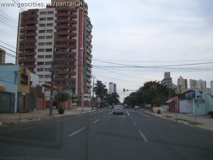 449_geocities_ws_pantanal.jpg