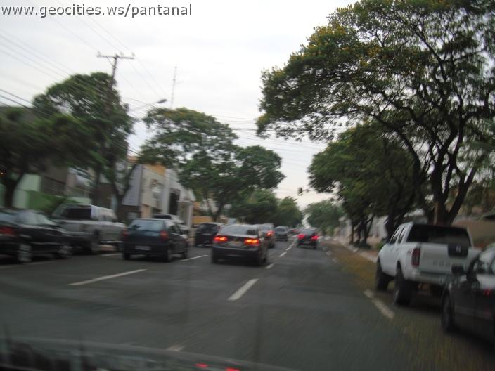 453_geocities_ws_pantanal.jpg