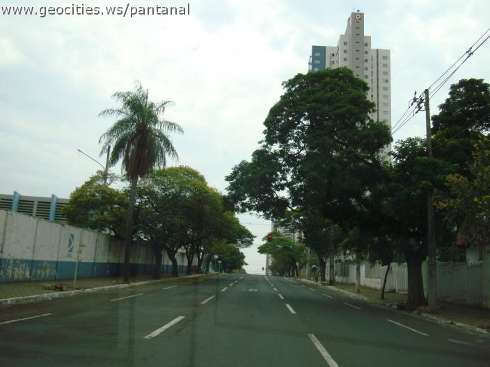 459_geocities_ws_pantanal.jpg