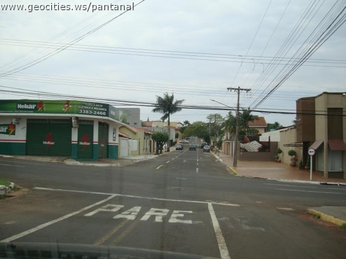 475_geocities_ws_pantanal.jpg