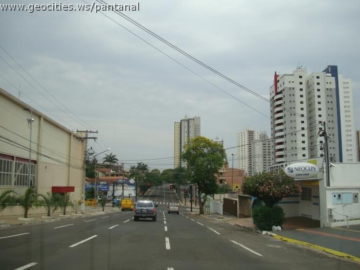 481_geocities_ws_pantanal.jpg