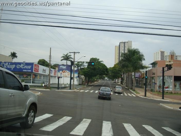 482_geocities_ws_pantanal.jpg