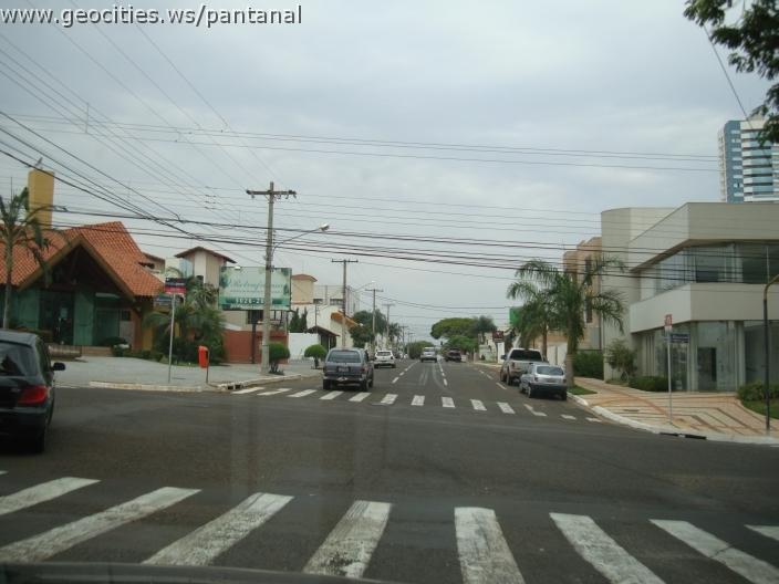 488_geocities_ws_pantanal.jpg