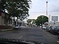 436_geocities_ws_pantanal